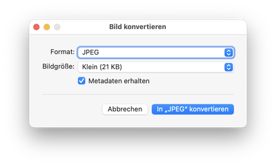 Dialog «Bild konvertieren» mit der Auswahl des Formats und der Bildgrösse. Screenshot.